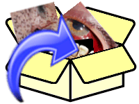 incluir esta imagem no BOX